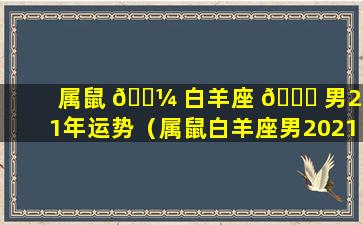 属鼠 🐼 白羊座 🐎 男2021年运势（属鼠白羊座男2021年运势及运程）